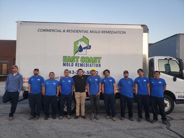 East Coast Mold Remediation