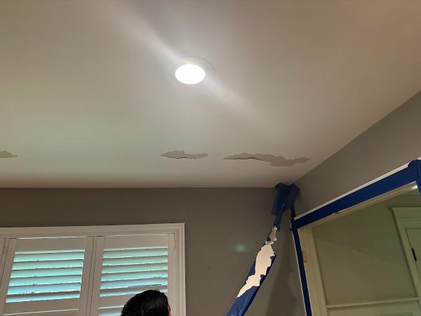 East Coast Mold Remediation