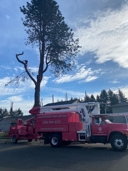 Arbor Barber Tree Service