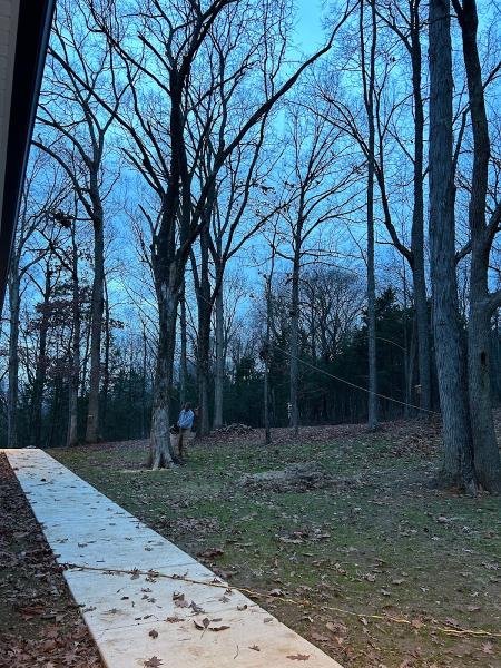 Williams Tree Trimming Licensed & Insured