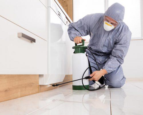 Dr. Jay's Pest Control LLC