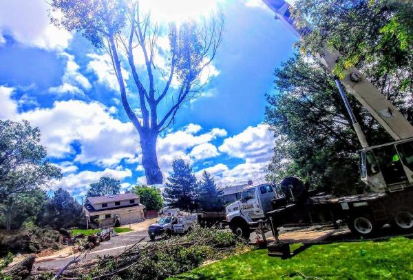 A-Class Tree Service LLC