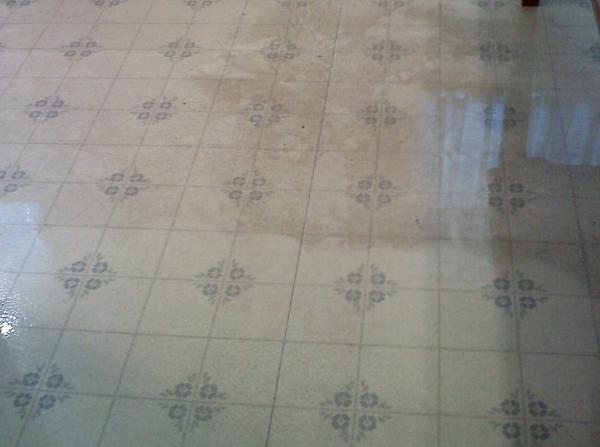 A Fresh Look Carpet Cleaning