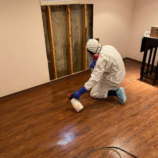 Chicago Mold Service