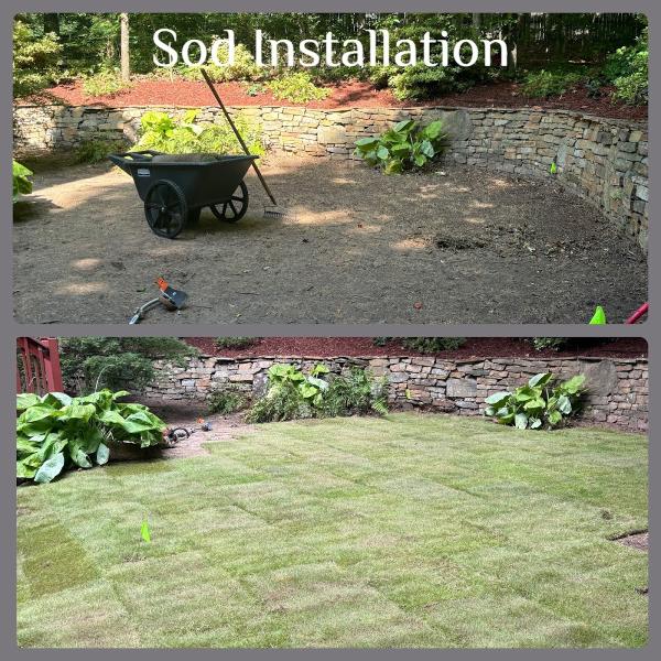 Mowtown Lawn Care