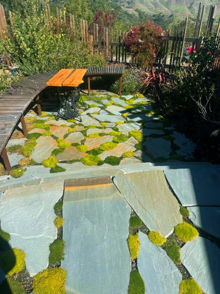 True Magic Landscaping