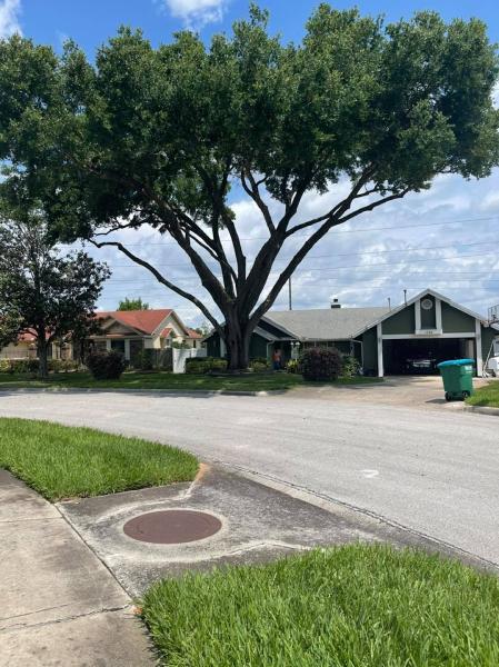 Ray's Tree Service