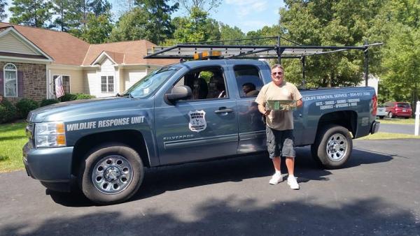 Virginia Wildlife Management and Control