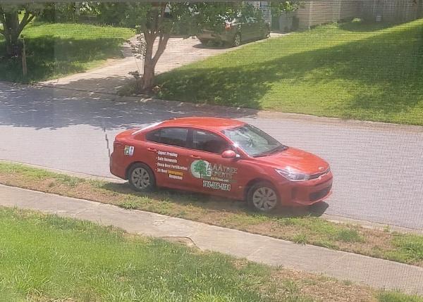 AAA Tree Experts