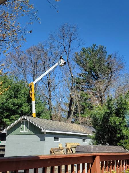 Scally's Tree Service