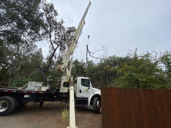 Arborcare Group Inc