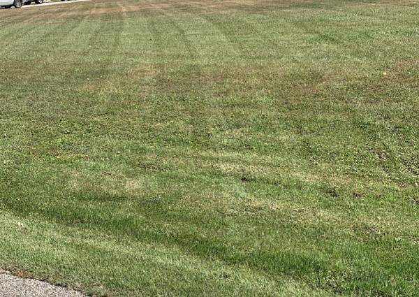 Andrew's Lawn Maintenance LLC