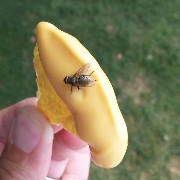 Peters Pest Control LLC