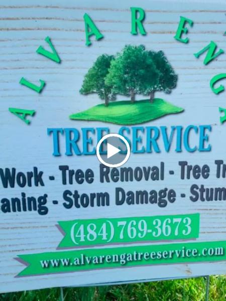 Alvarenga Tree Service
