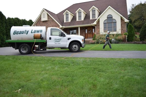 Beauty Lawn