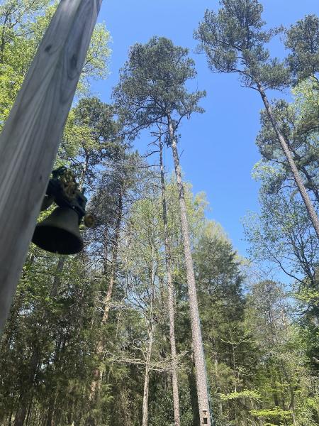 Advance Tree Service LLC