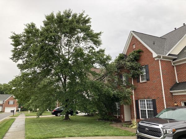 Advance Tree Service LLC