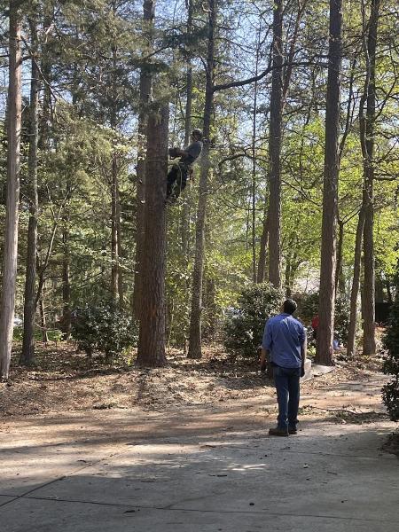 Advance Tree Service LLC