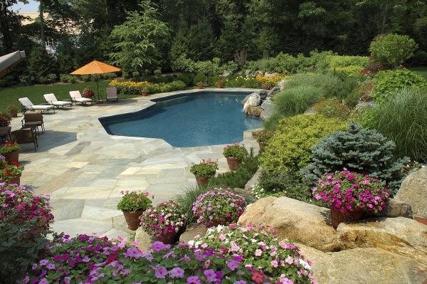 New Pools