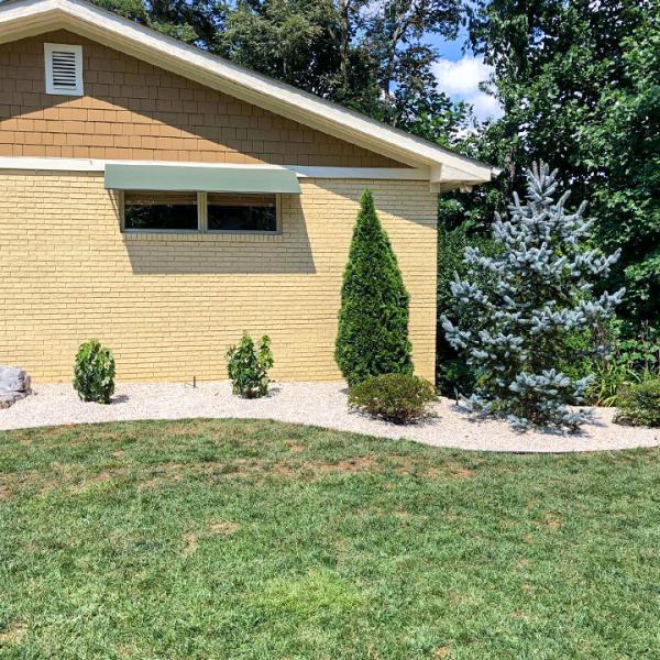 Black Bear Lawn Care & Landscaping