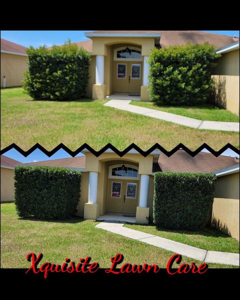 Xquisite Lawn Care