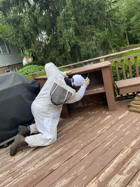 Pest Busters Pest Control