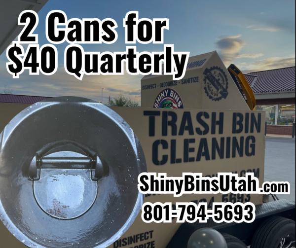 Shiny Bins Garbage Can Cleaning