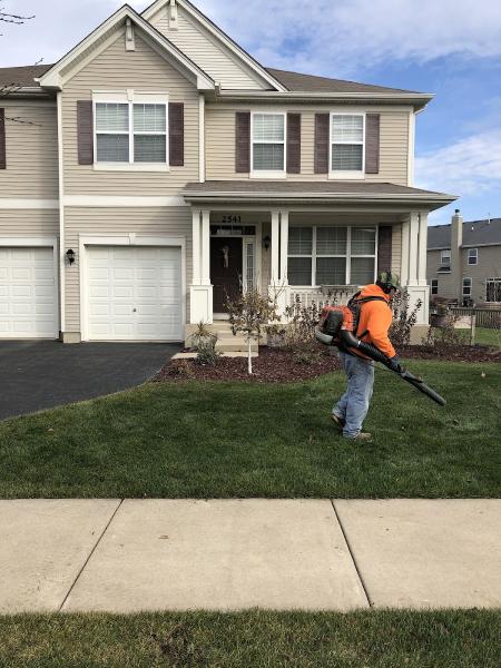 Landscaping Lawn Maintenance Plus Inc