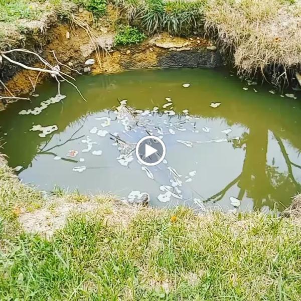 Maryland Worx Plumbing Drain Cleaning and Excavation