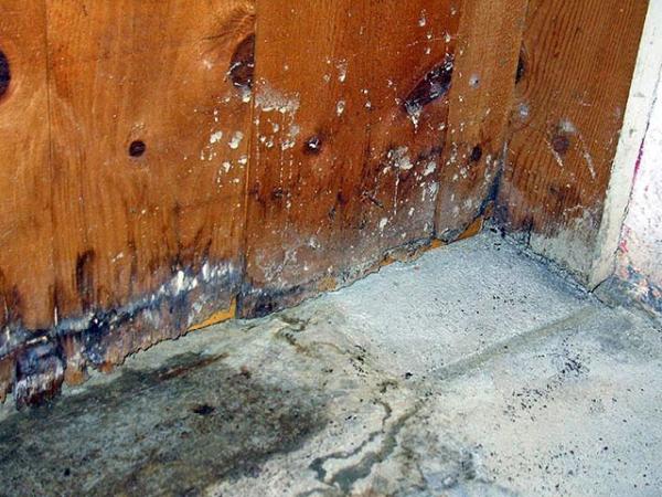 Environmental Construction Services Inc.