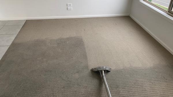 LDH Carpet Cleaning Service