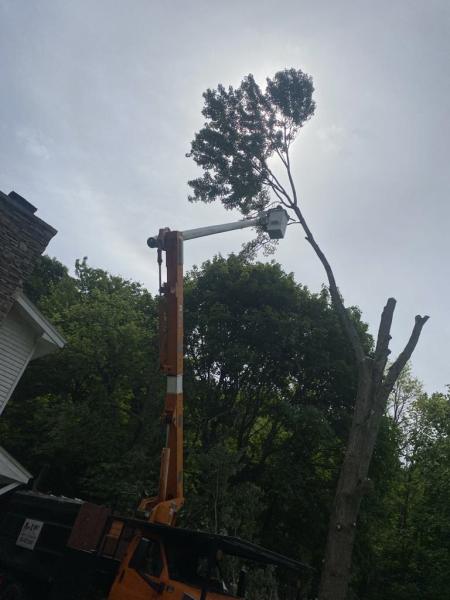 A-1 Tree Service