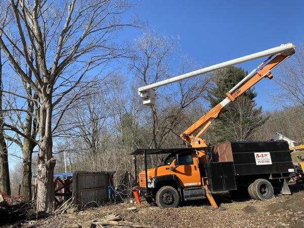 A-1 Tree Service