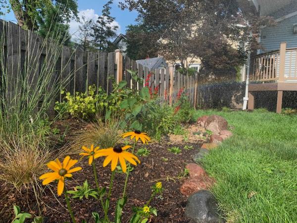 Red Stem Native Landscapes