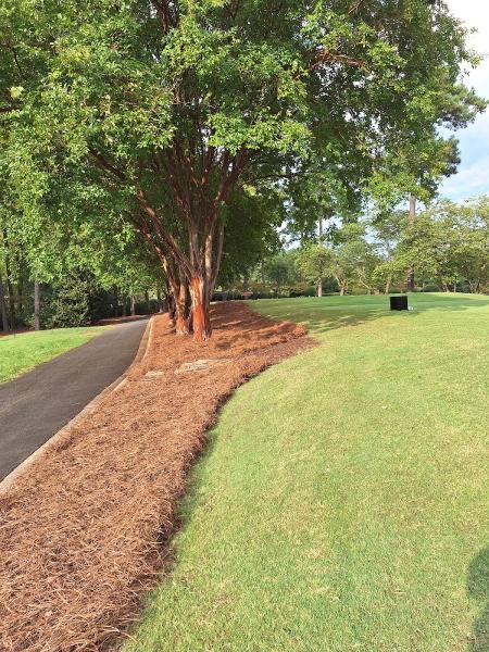 Shiloh Pine Straw Landscaping