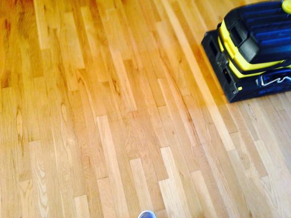 Green Steam Carpet Cleaners