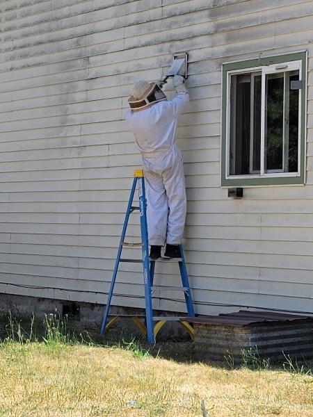 Clark's Advanced Pest Control