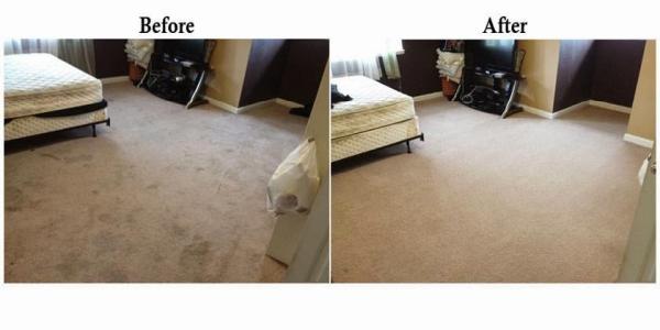 Carpet Restoration Specialists