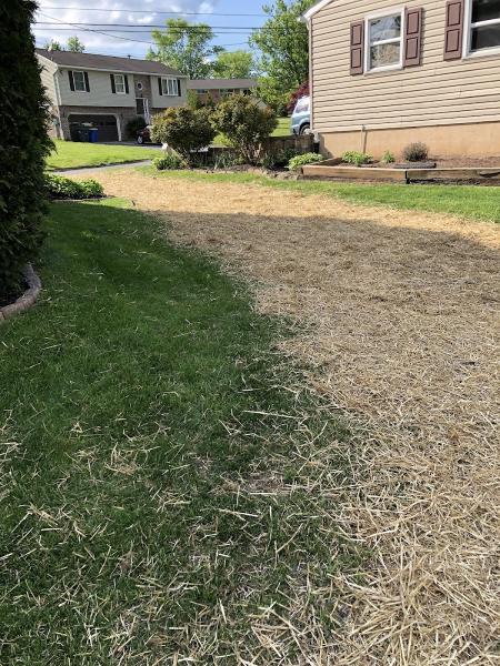 Staub's Stump Removal Llc.