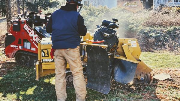 Staub's Stump Removal Llc.