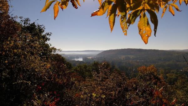 Davis Outdoor Jobs