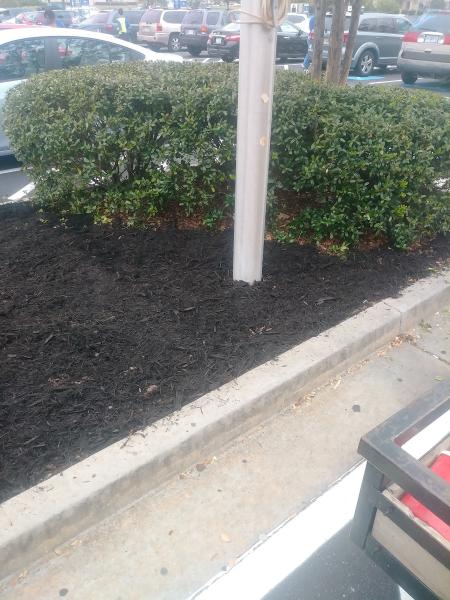 McKenzie Lawn Care