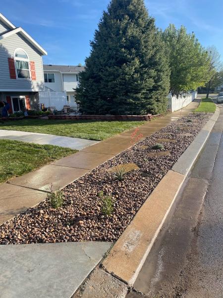 Integrity Tree Specialists & Landscaping LLC
