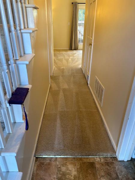 Triad Carpet Guys