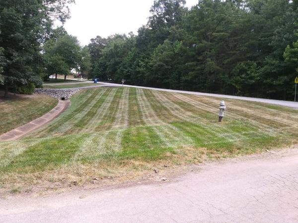 A+ Landscaping and Pressure Washing