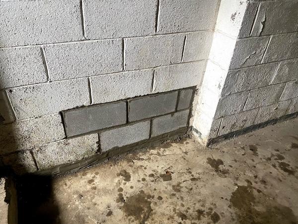 Primo Masonry Repairs