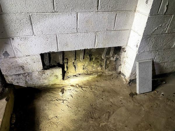 Primo Masonry Repairs