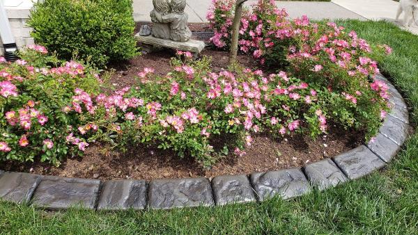 The Curbing Edge