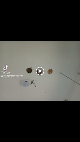 De la Cruz Painting Projects