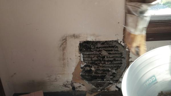 Arab Termite & Pest Control